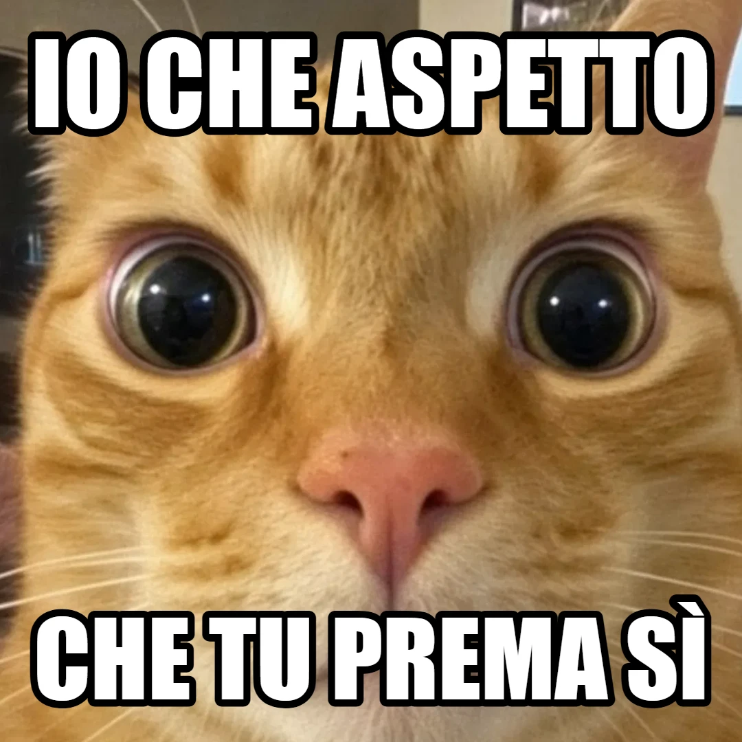 Meme: io che aspetto che tu prema sì